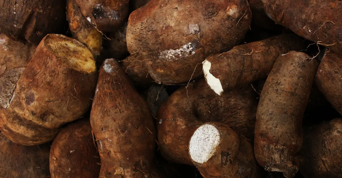 Ketahui Cara Merawat Gorden di Cilandak