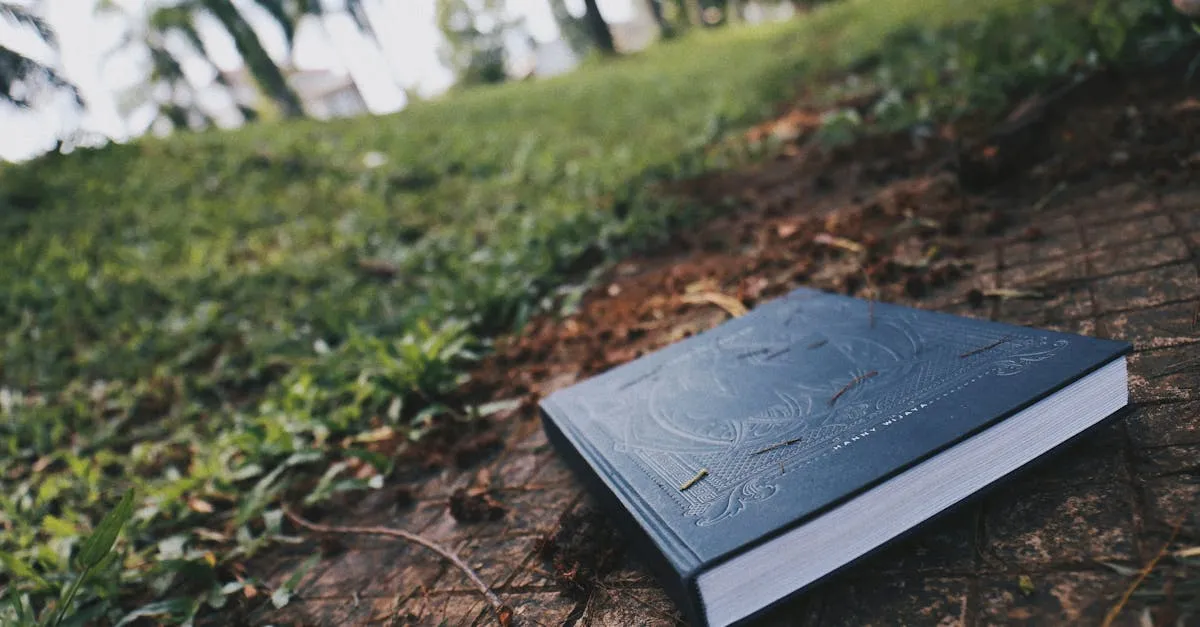 Pahami Perawatan Gorden Cempaka Putih: Tips dan Trik untuk Menggunakan Gorden dengan Lebih Baik