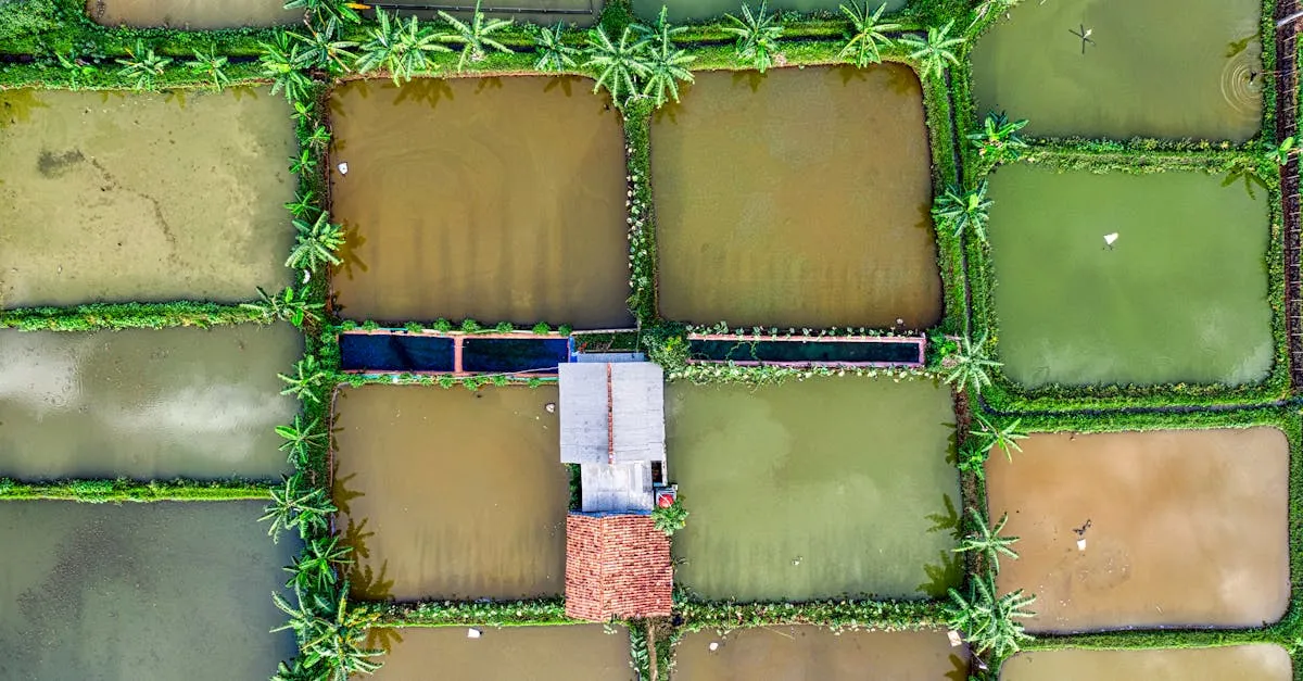 Cuci Springbed Arno D Clean Cibubur Indah: Bersih & Higienis